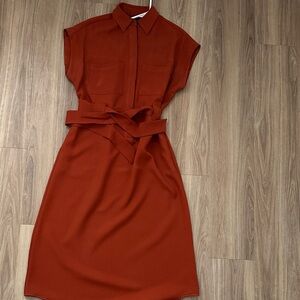 The Limited Terracotta Midi Dress